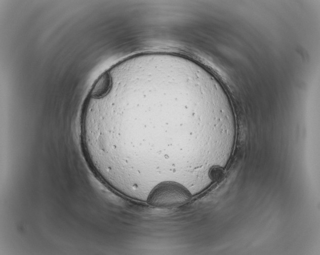 X0000112781471200909101601