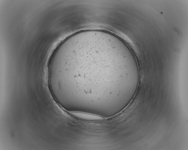 X0000112781472200909101601