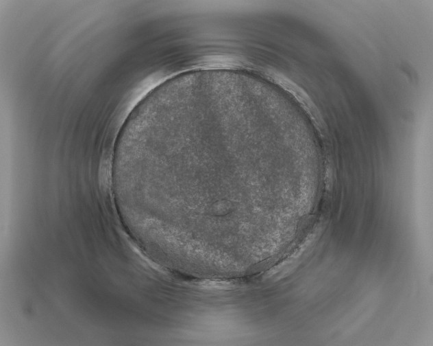 X0000112781473200909101601