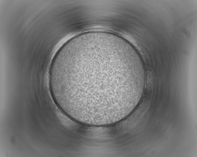 X0000112781474200909101601