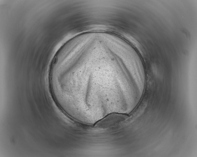 X0000112781475200909101601