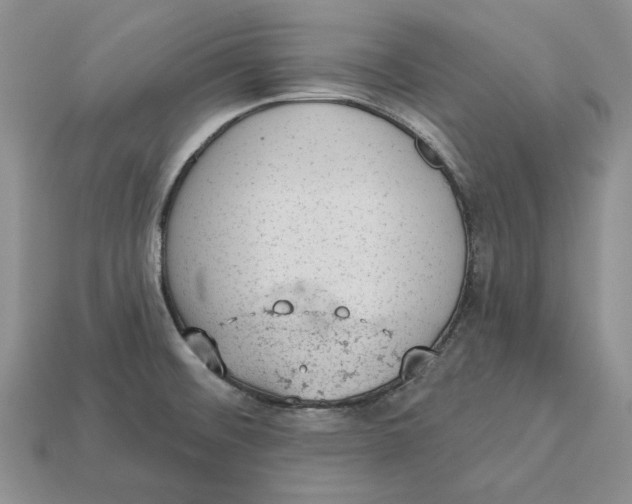 X0000112781476200909101601