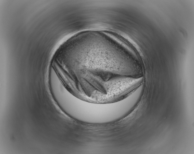 X0000112781477200909101601