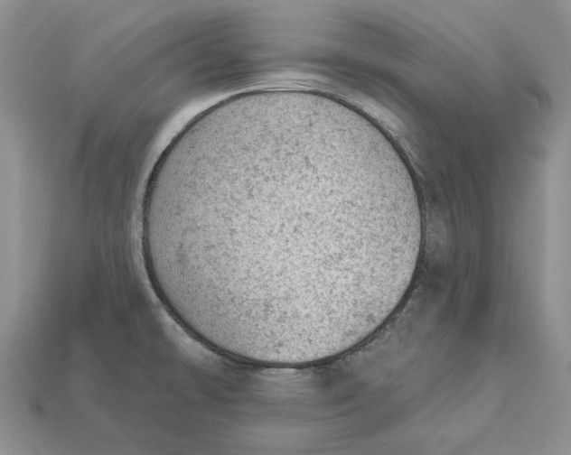 X0000112781478200909101601