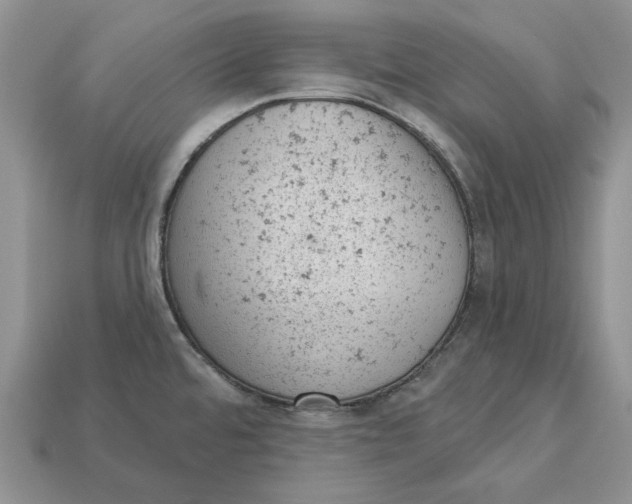 X0000112781480200909101601