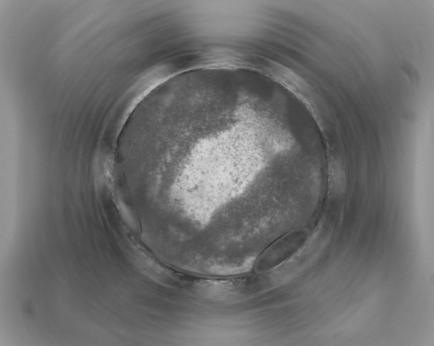 X0000112781481200909101601