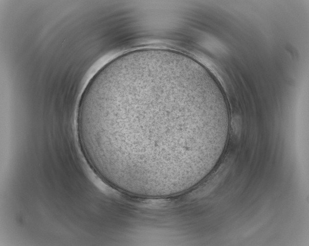 X0000112781482200909101601