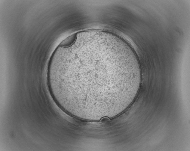 X0000112781483200909101601