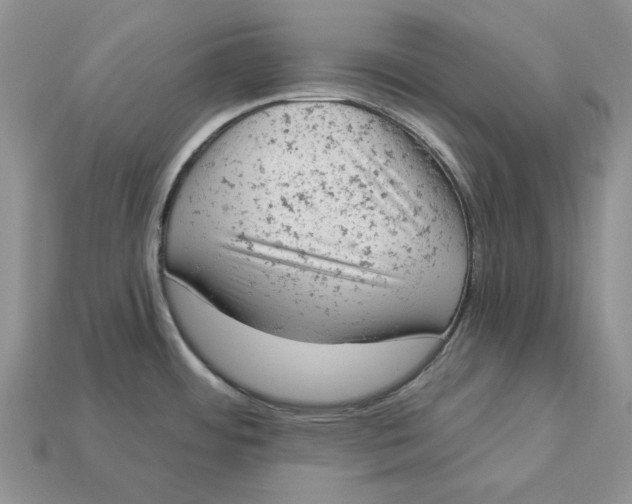 X0000112781484200909101601