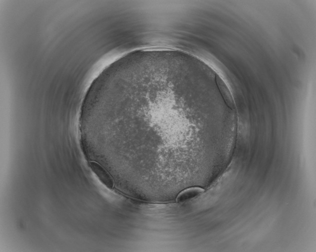 X0000112781485200909101601