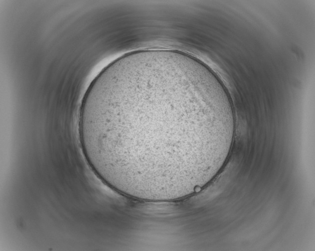 X0000112781486200909101601