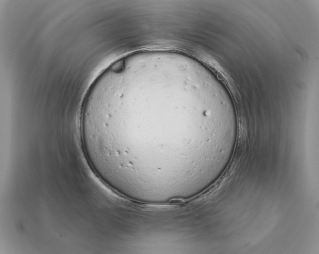 X0000112781487200909101601