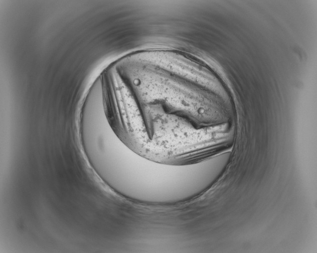 X0000112781488200909101601