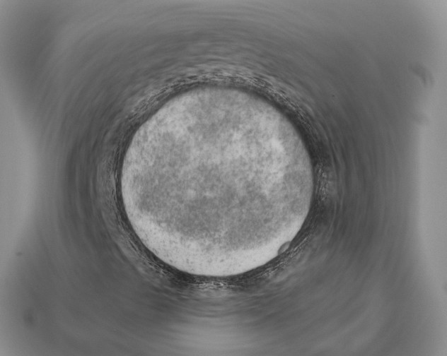 X0000112781489200909101601