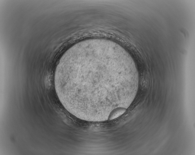 X0000112781490200909101601