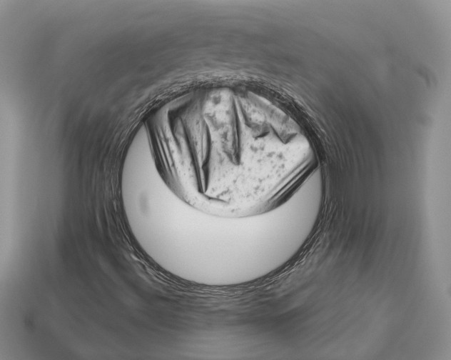 X0000112781492200909101601