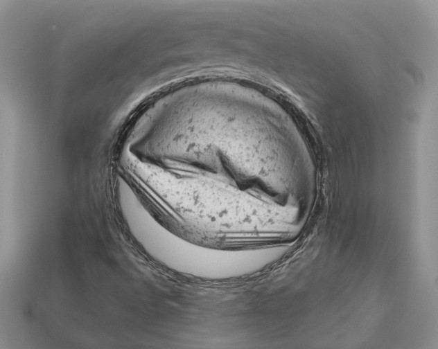 X0000112781496200909101601