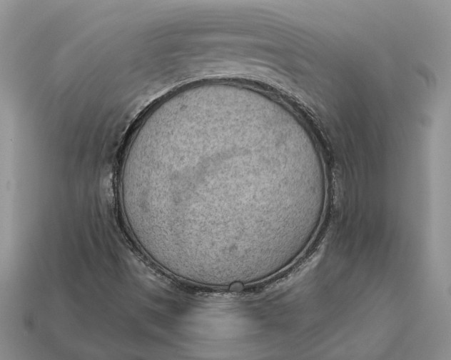 X0000112781497200909101601