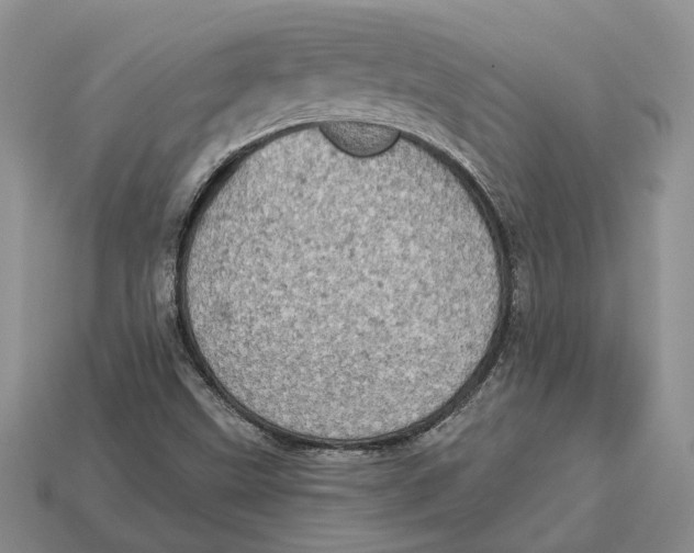 X0000112781499200909101601