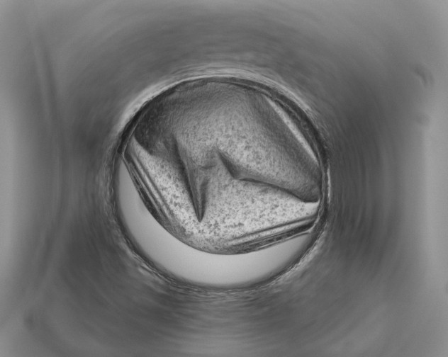 X0000112781501200909101601