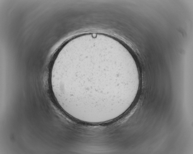 X0000112781502200909101601