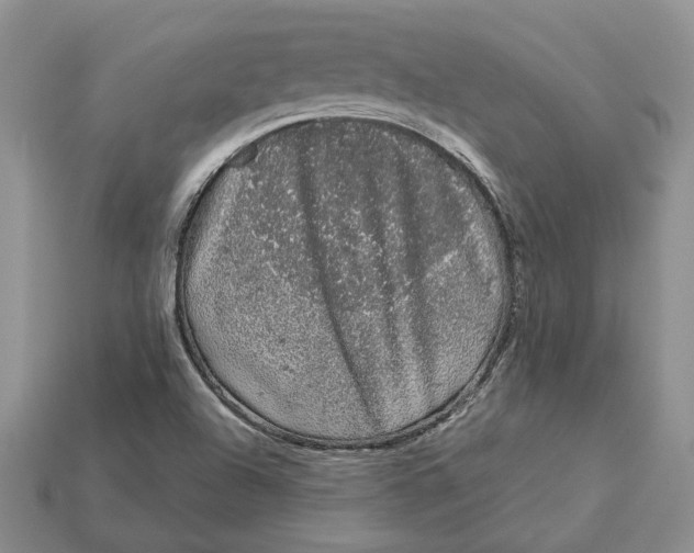 X0000112781504200909101601