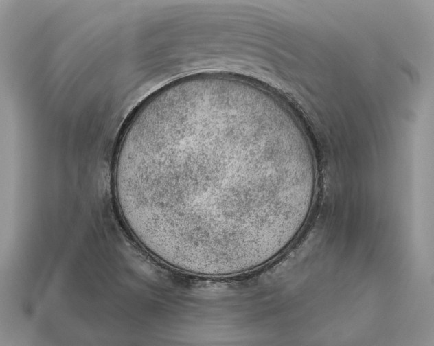 X0000112781505200909101601