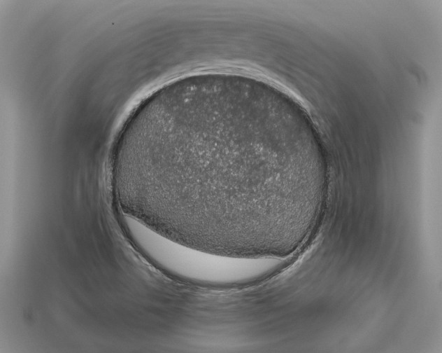 X0000112781506200909101601