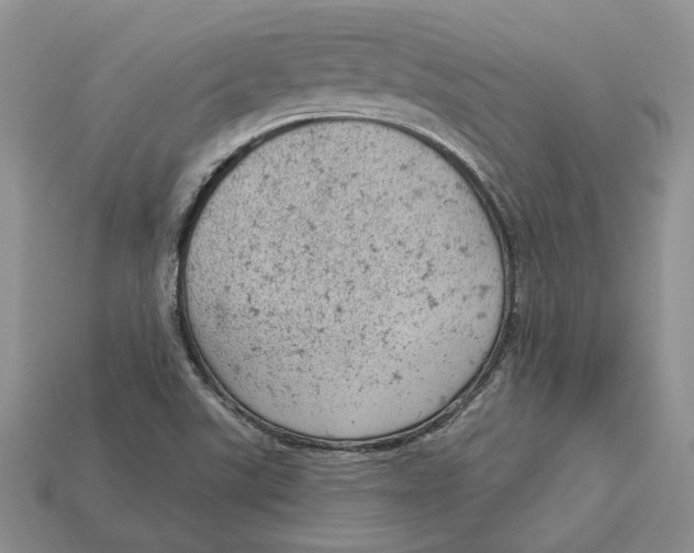 X0000112781507200909101601