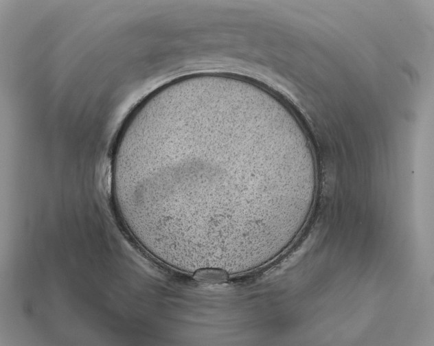 X0000112781509200909101601