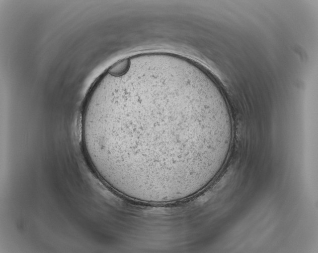 X0000112781510200909101601