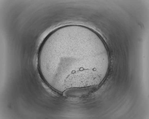 X0000112781511200909101601