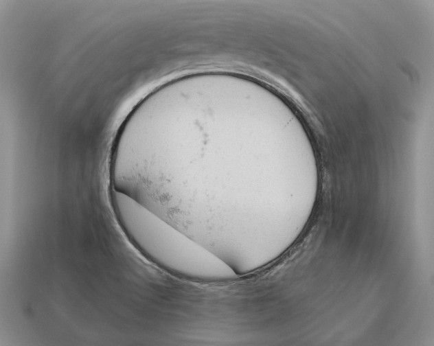 X0000112781512200909101601