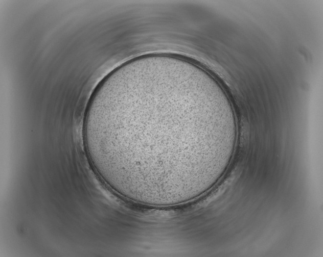 X0000112781513200909101601