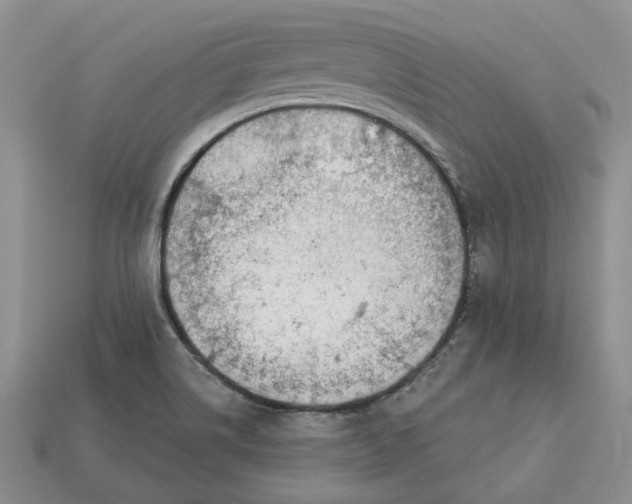 X0000112781514200909101601