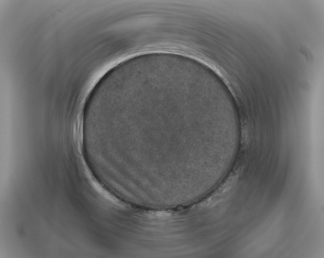 X0000112781515200909101601