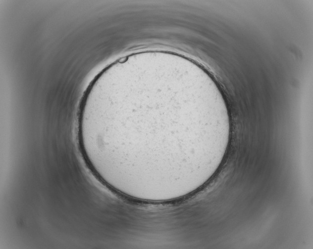 X0000112781518200909101601