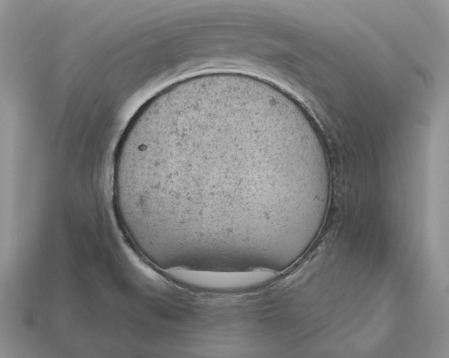 X0000112781519200909101601