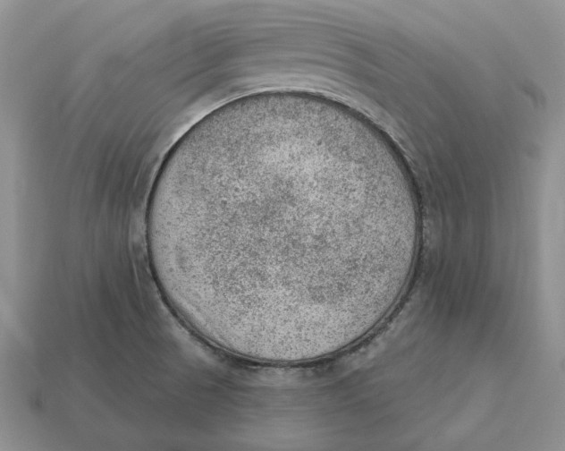 X0000112781521200909101601