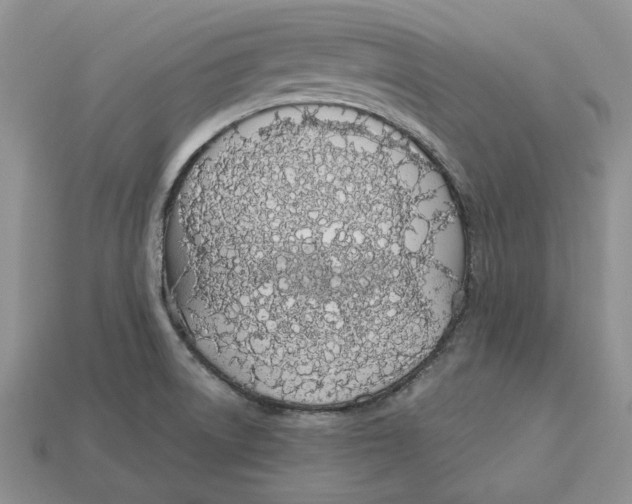 X0000112781522200909101601