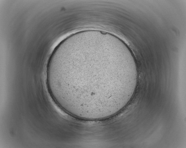 X0000112781523200909101601