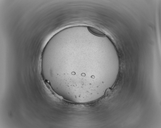 X0000112781524200909101601