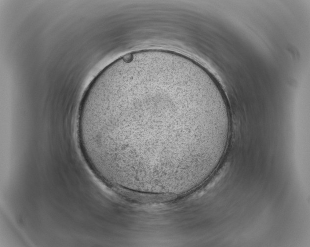 X0000112781525200909101601