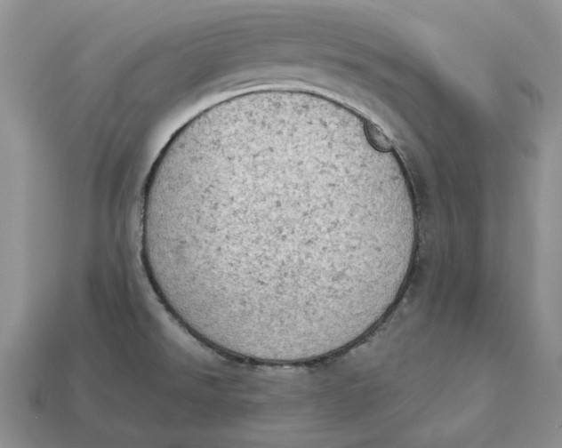 X0000112781526200909101601