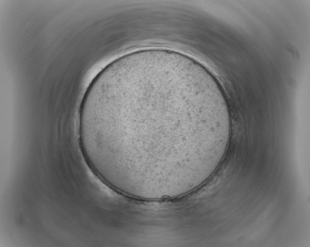 X0000112781527200909101601