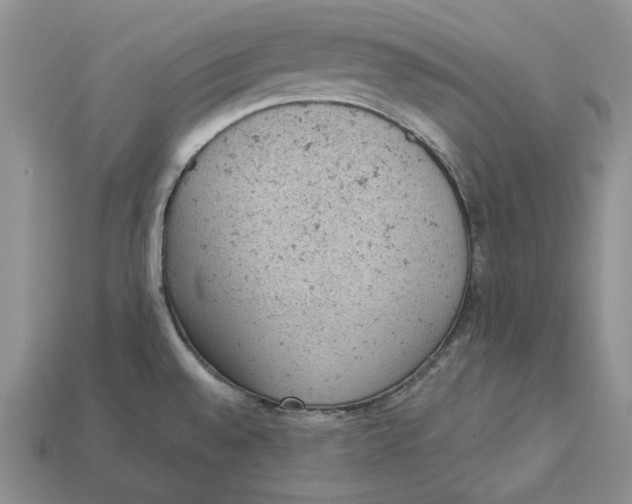 X0000112781528200909101601