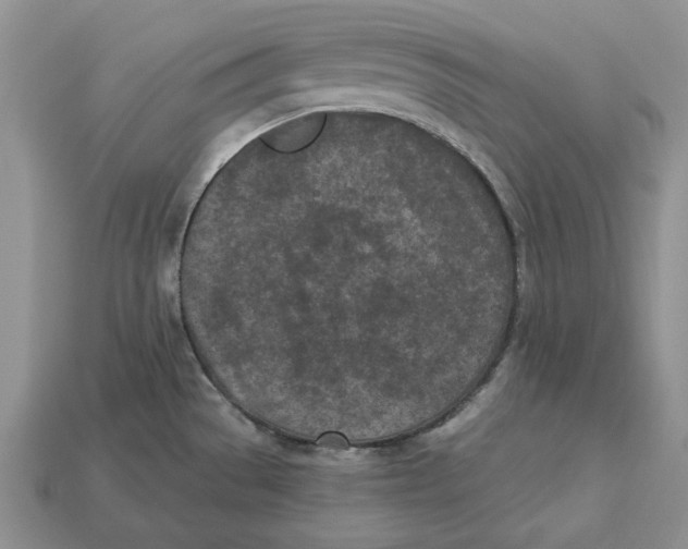 X0000112781529200909101601