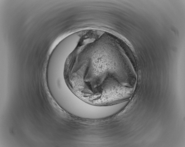 X0000112781530200909101601