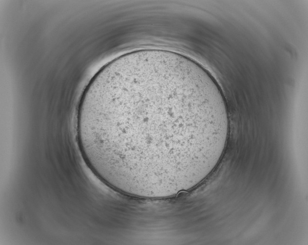 X0000112781531200909101601