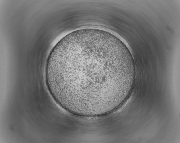 X0000112781533200909101601